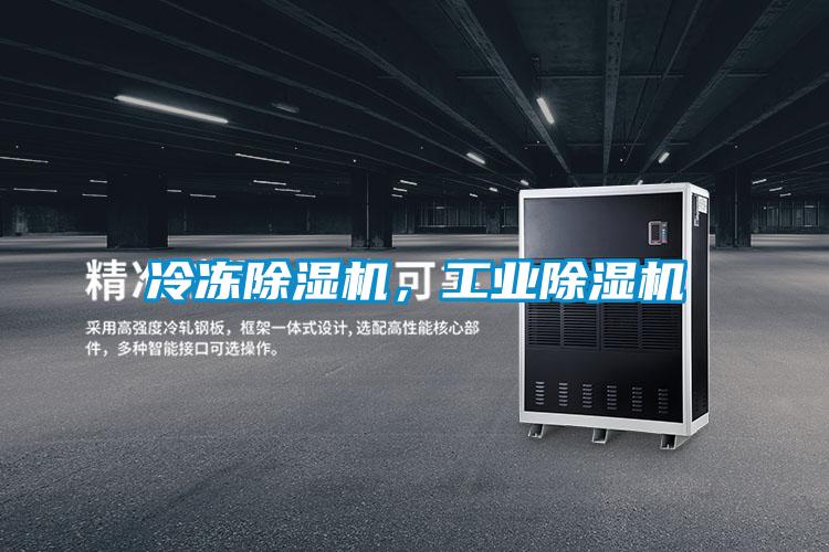 冷凍除濕機，工業(yè)除濕機