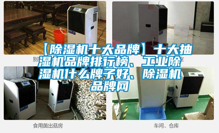 【除濕機(jī)十大品牌】十大抽濕機(jī)品牌排行榜、工業(yè)除濕機(jī)什么牌子好、除濕機(jī)品牌網(wǎng)