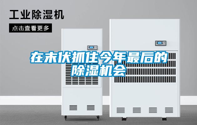在末伏抓住今年最后的除濕機(jī)會(huì)