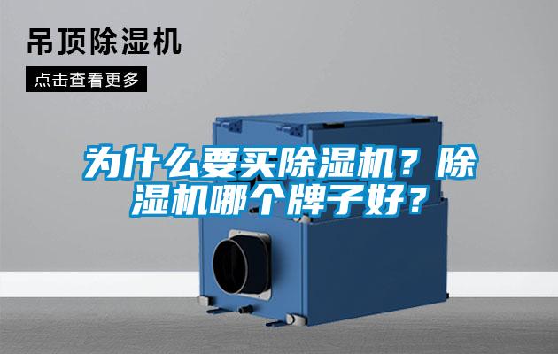 為什么要買(mǎi)除濕機(jī)？除濕機(jī)哪個(gè)牌子好？