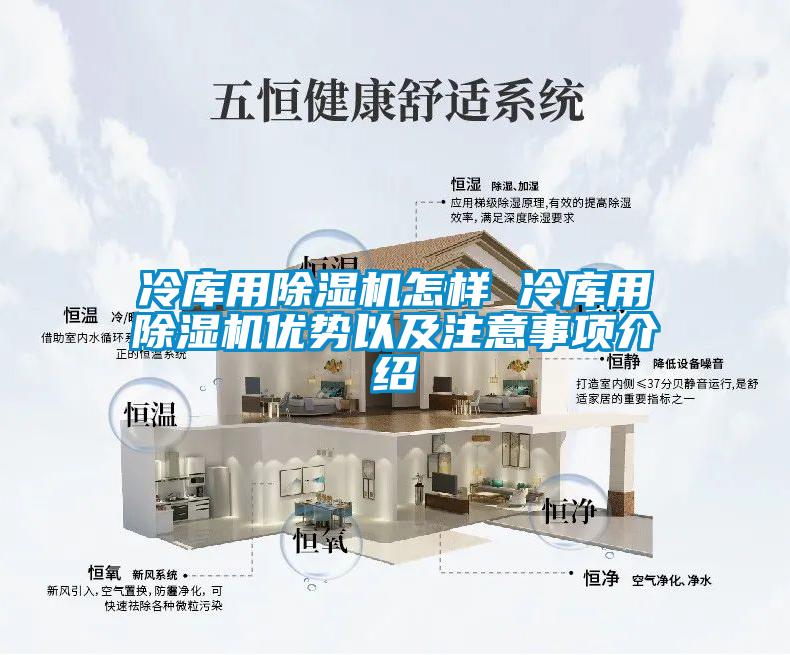 冷庫用除濕機怎樣 冷庫用除濕機優(yōu)勢以及注意事項介紹