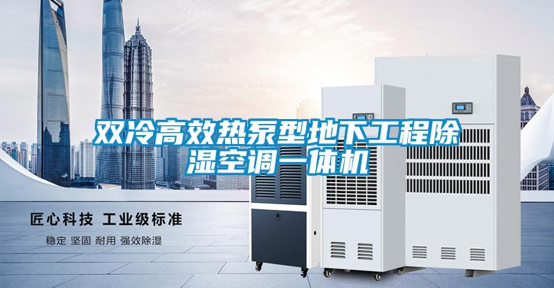 雙冷高效熱泵型地下工程除濕空調(diào)一體機