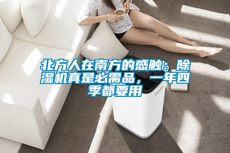 北方人在南方的感觸：除濕機(jī)真是必需品，一年四季都要用