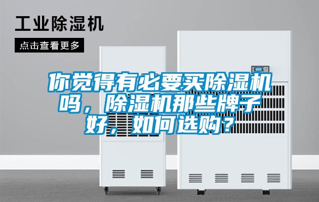 你覺得有必要買除濕機嗎，除濕機那些牌子好，如何選購？