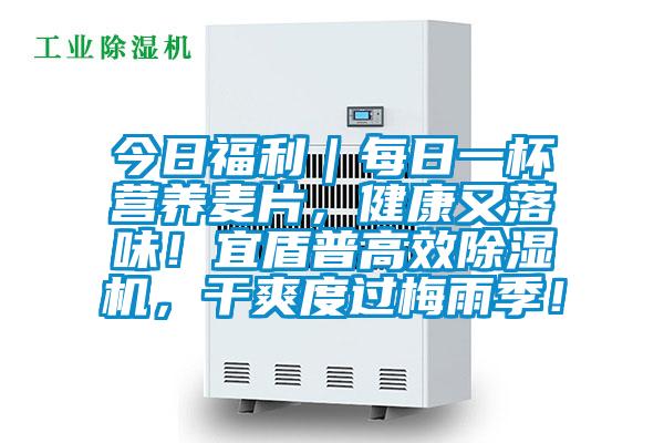 今日福利｜每日一杯營養(yǎng)麥片，健康又落味！宜盾普高效除濕機(jī)，干爽度過梅雨季！