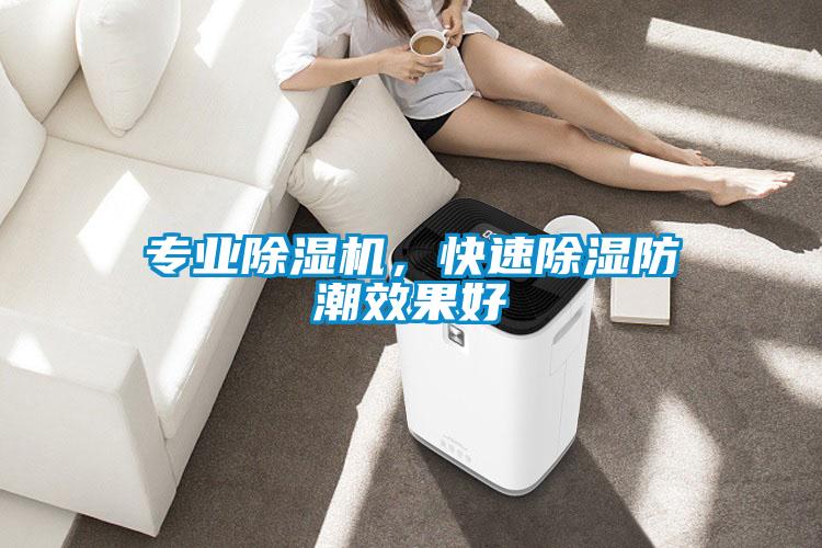 專業(yè)除濕機，快速除濕防潮效果好