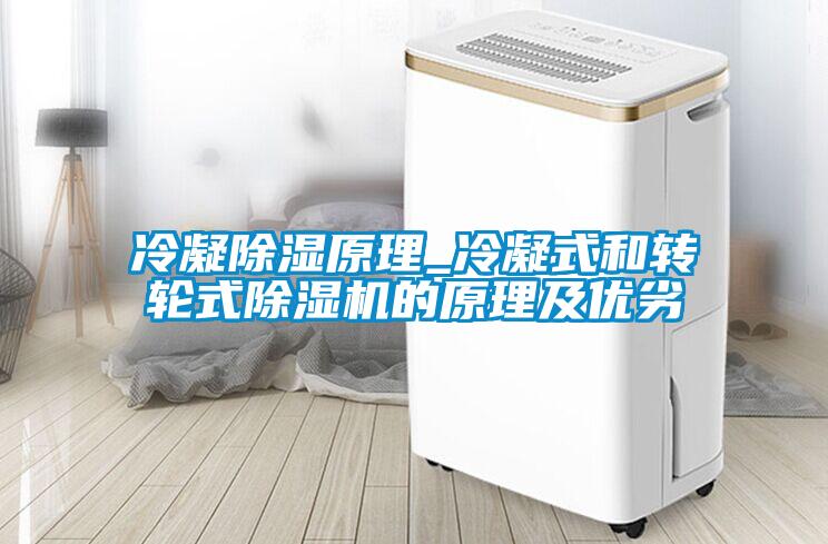 冷凝除濕原理_冷凝式和轉(zhuǎn)輪式除濕機的原理及優(yōu)劣