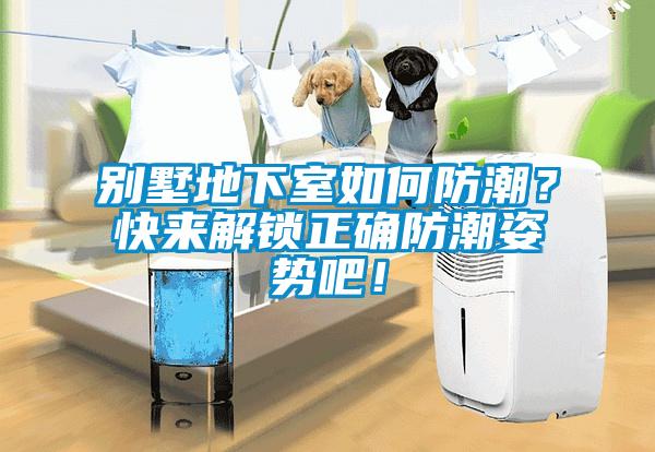別墅地下室如何防潮？快來(lái)解鎖正確防潮姿勢(shì)吧！