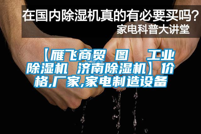 【雁飛商貿(mào) 圖  工業(yè)除濕機 濟南除濕機】價格,廠家,家電制造設(shè)備