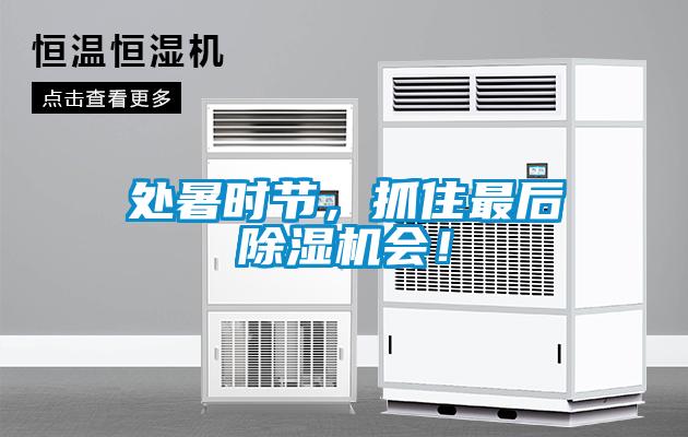 處暑時(shí)節(jié)，抓住最后除濕機(jī)會(huì)！