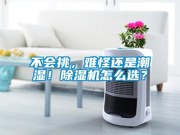 不會(huì)挑，難怪還是潮濕！除濕機(jī)怎么選？