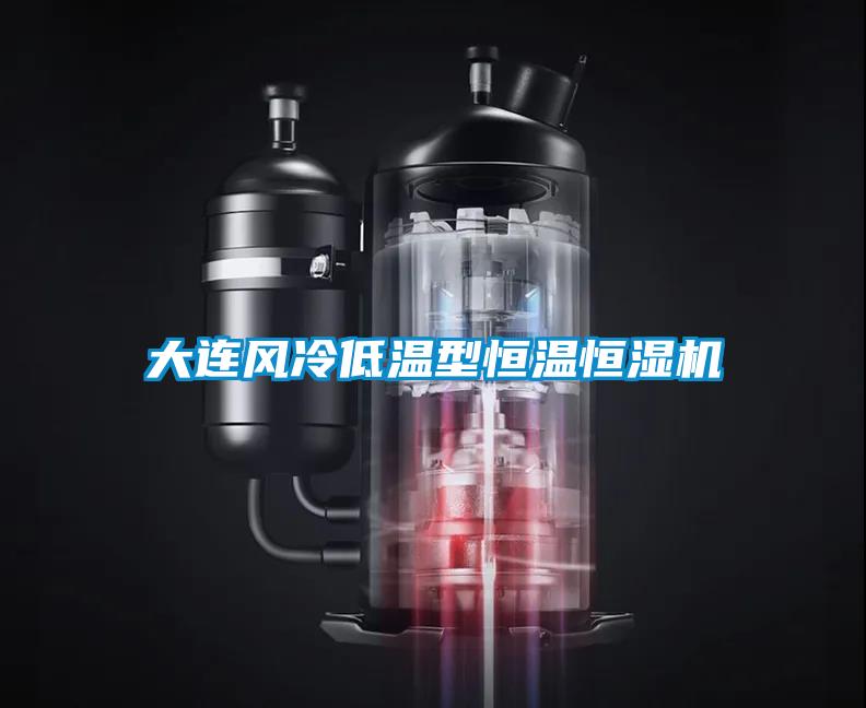 大連風(fēng)冷低溫型恒溫恒濕機(jī)