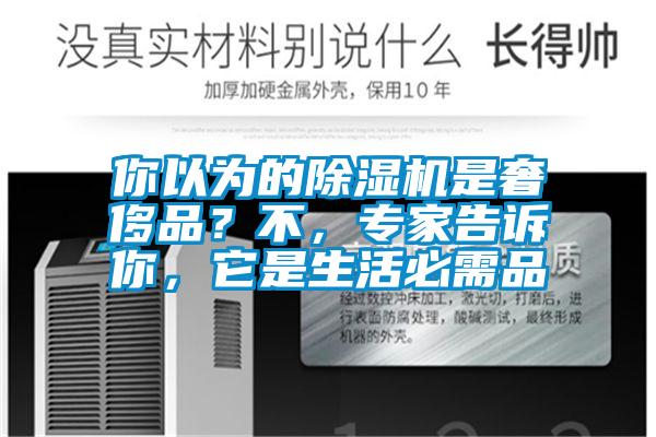 你以為的除濕機(jī)是奢侈品？不，專家告訴你，它是生活必需品