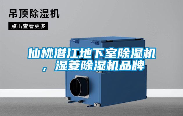 仙桃潛江地下室除濕機，濕菱除濕機品牌