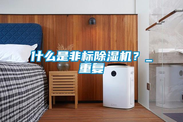 什么是非標(biāo)除濕機(jī)？_重復(fù)