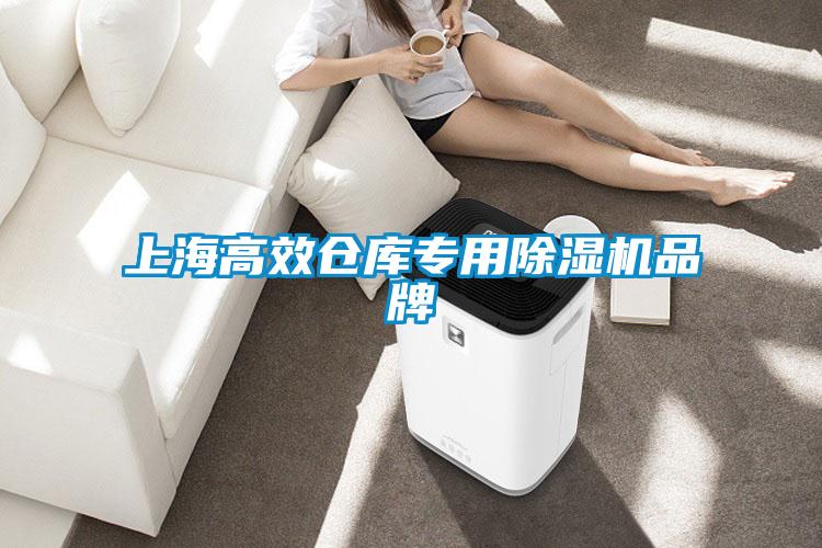 上海高效倉(cāng)庫(kù)專用除濕機(jī)品牌