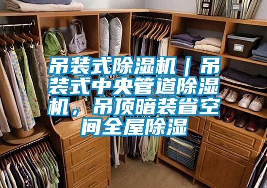 吊裝式除濕機(jī)｜吊裝式中央管道除濕機(jī)，吊頂暗裝省空間全屋除濕
