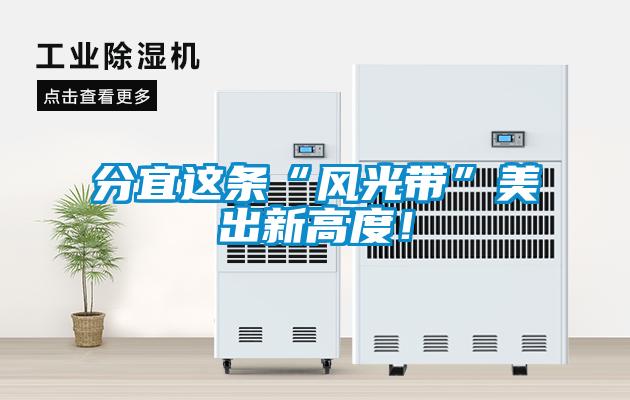 分宜這條“風(fēng)光帶”美出新高度！