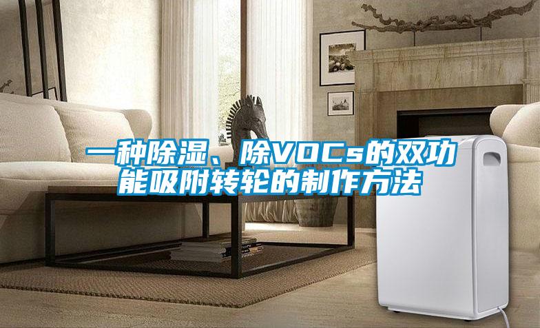一種除濕、除VOCs的雙功能吸附轉(zhuǎn)輪的制作方法