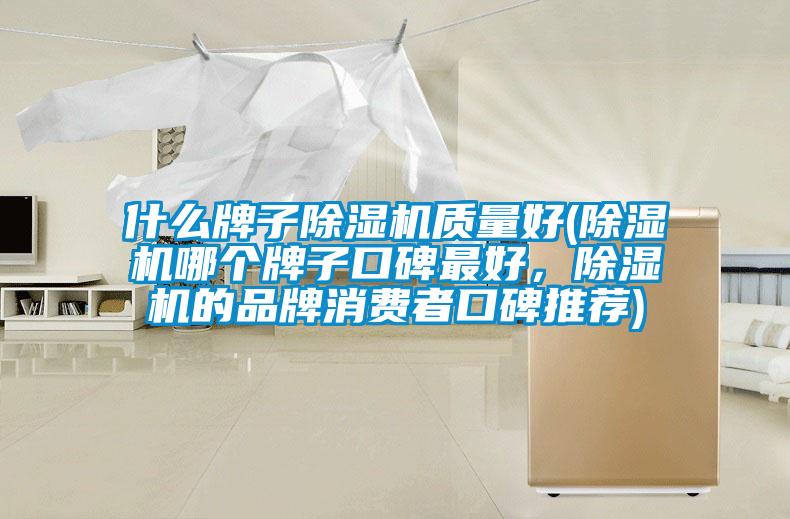 什么牌子除濕機(jī)質(zhì)量好(除濕機(jī)哪個(gè)牌子口碑最好，除濕機(jī)的品牌消費(fèi)者口碑推薦)