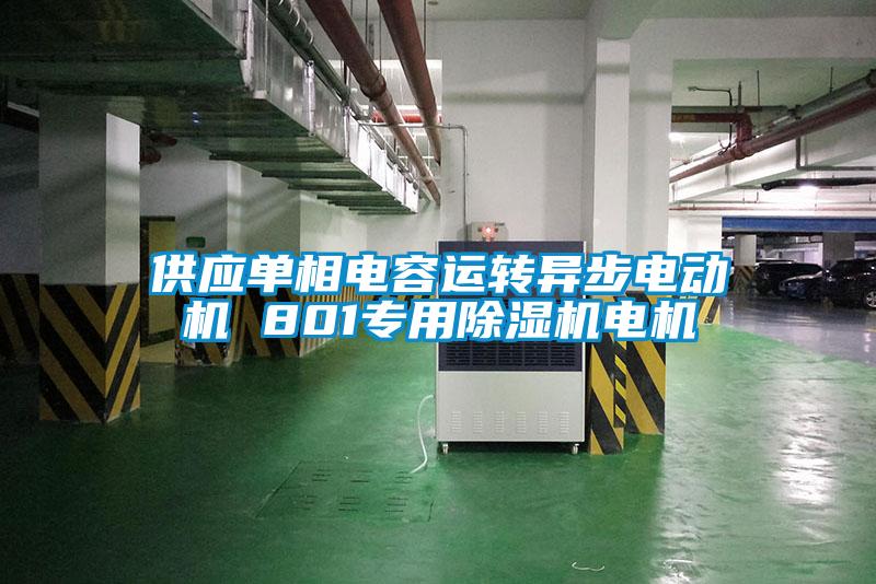 供應(yīng)單相電容運轉(zhuǎn)異步電動機(jī) 801專用除濕機(jī)電機(jī)