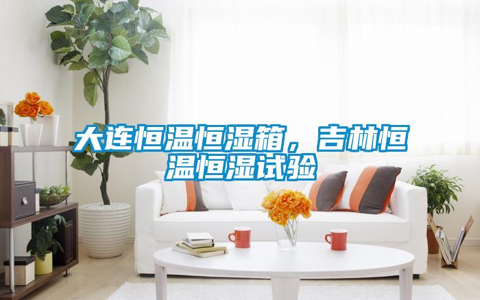 大連恒溫恒濕箱，吉林恒溫恒濕試驗