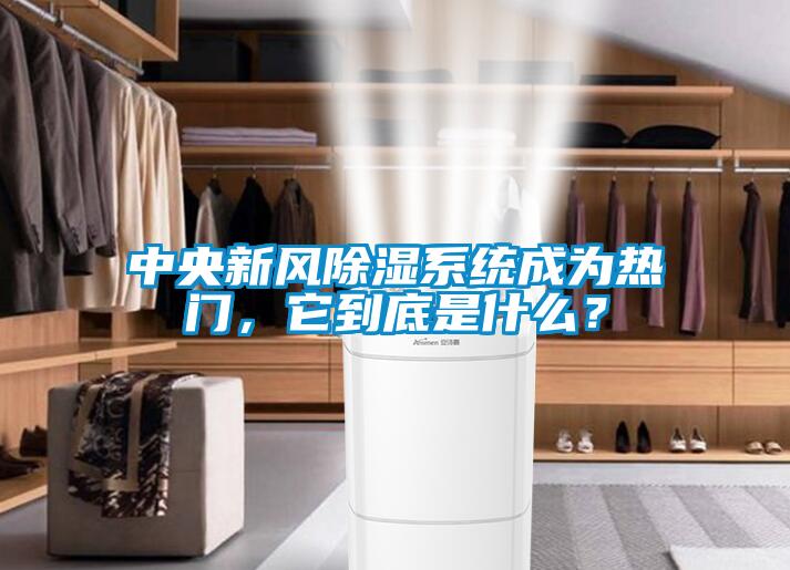 中央新風(fēng)除濕系統(tǒng)成為熱門，它到底是什么？