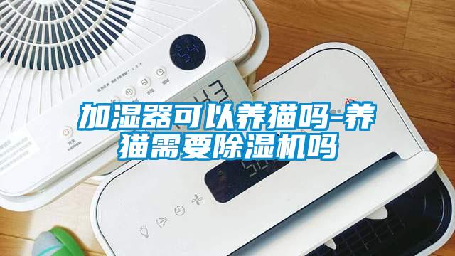 加濕器可以養(yǎng)貓嗎-養(yǎng)貓需要除濕機嗎
