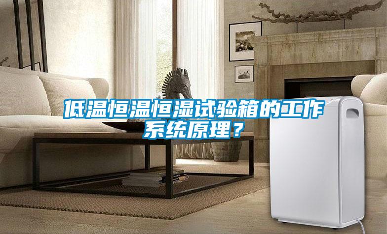 低溫恒溫恒濕試驗箱的工作系統(tǒng)原理？