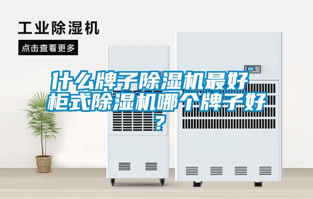 什么牌子除濕機(jī)最好 柜式除濕機(jī)哪個牌子好？