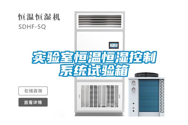 實(shí)驗(yàn)室恒溫恒濕控制系統(tǒng)試驗(yàn)箱