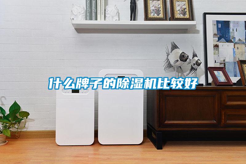 什么牌子的除濕機(jī)比較好