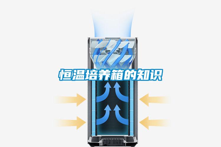 恒溫培養(yǎng)箱的知識