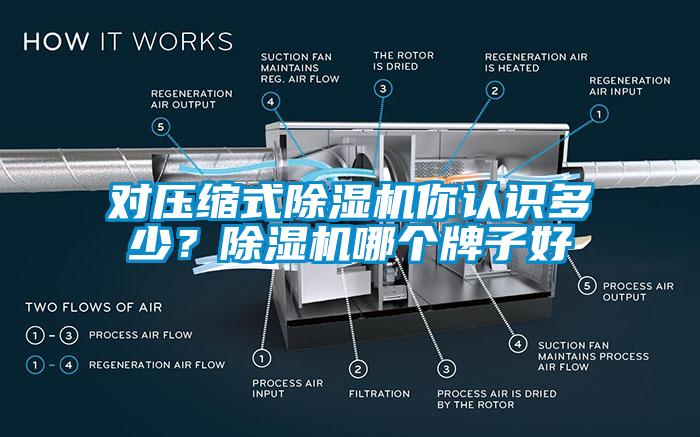 對壓縮式除濕機(jī)你認(rèn)識多少？除濕機(jī)哪個牌子好