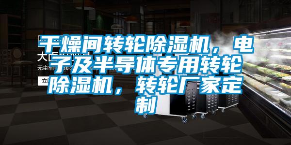 干燥間轉(zhuǎn)輪除濕機(jī)，電子及半導(dǎo)體專用轉(zhuǎn)輪除濕機(jī)，轉(zhuǎn)輪廠家定制