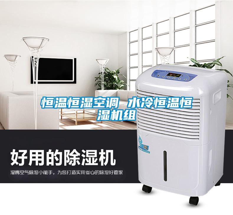 恒溫恒濕空調(diào) 水冷恒溫恒濕機(jī)組