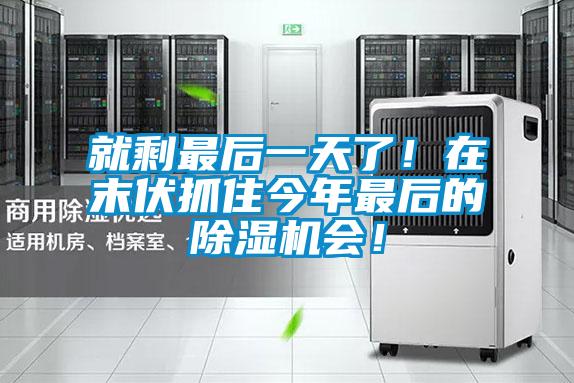 就剩最后一天了！在末伏抓住今年最后的除濕機會！