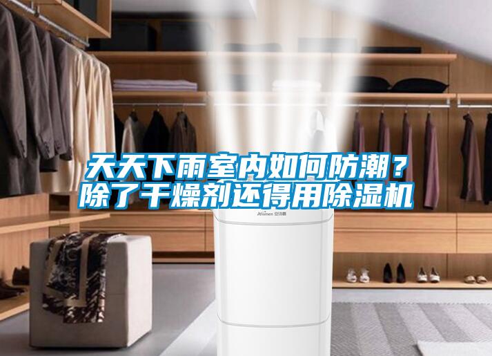 天天下雨室內(nèi)如何防潮？除了干燥劑還得用除濕機(jī)
