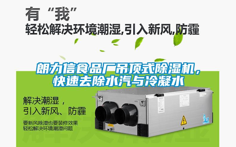 朗力信食品廠吊頂式除濕機，快速去除水汽與冷凝水