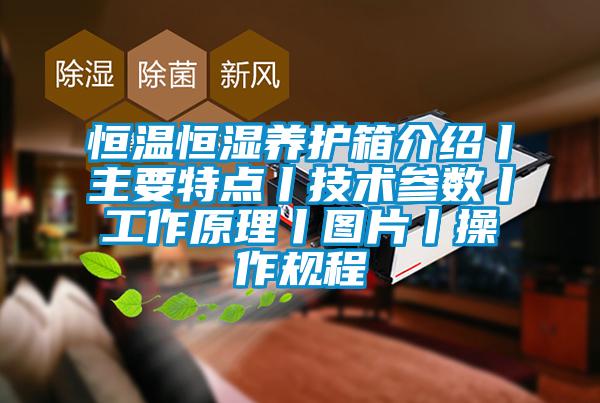 恒溫恒濕養(yǎng)護箱介紹丨主要特點丨技術參數(shù)丨工作原理丨圖片丨操作規(guī)程