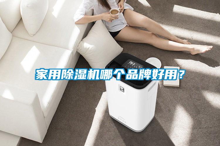 家用除濕機哪個品牌好用？