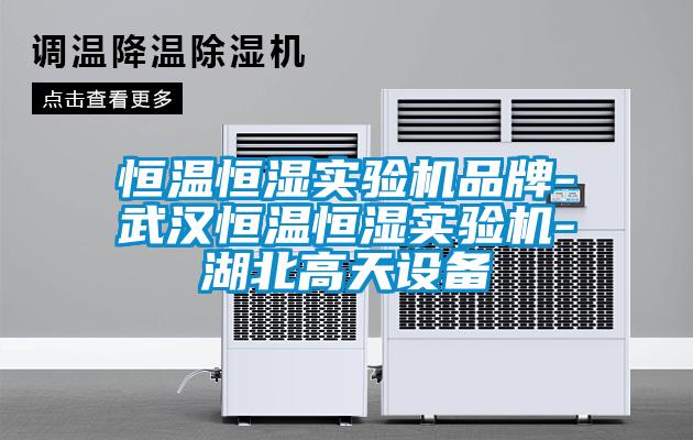 恒溫恒濕實驗機品牌-武漢恒溫恒濕實驗機-湖北高天設(shè)備