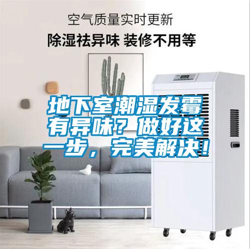 地下室潮濕發(fā)霉有異味？做好這一步，完美解決！