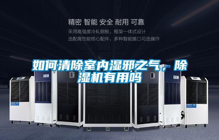 如何清除室內(nèi)濕邪之氣，除濕機有用嗎