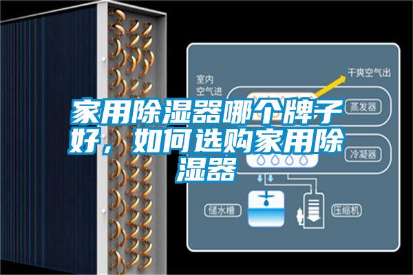 家用除濕器哪個牌子好，如何選購家用除濕器