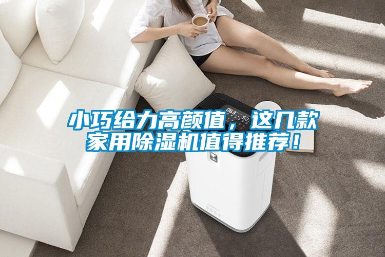 小巧給力高顏值，這幾款家用除濕機(jī)值得推薦！