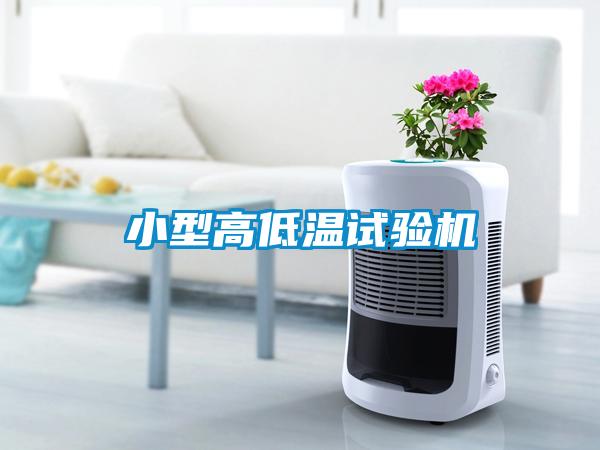 小型高低溫試驗(yàn)機(jī)