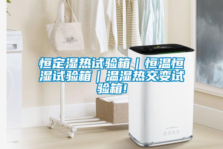 恒定濕熱試驗(yàn)箱｜恒溫恒濕試驗(yàn)箱｜溫濕熱交變?cè)囼?yàn)箱!