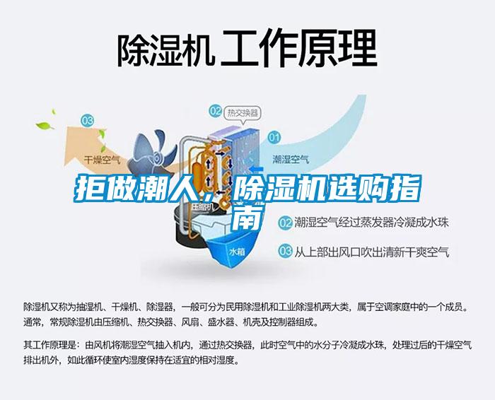 拒做潮人，除濕機選購指南