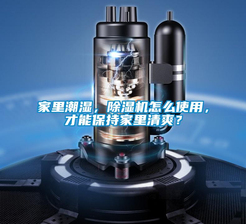 家里潮濕，除濕機怎么使用，才能保持家里清爽？